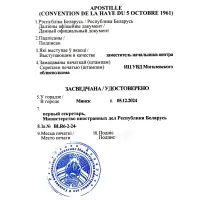 Личная/Безличная подача в МИД: что выбрать ? Личная/Безличная подача в МИД: что выбрать ?