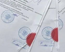 Перевод справок и выписок