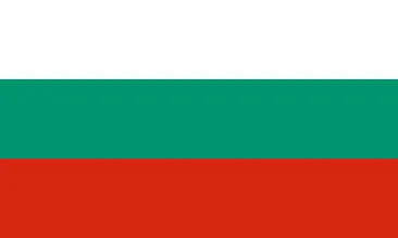 Болгарский язык Болгарский язык