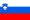 Словенский язык